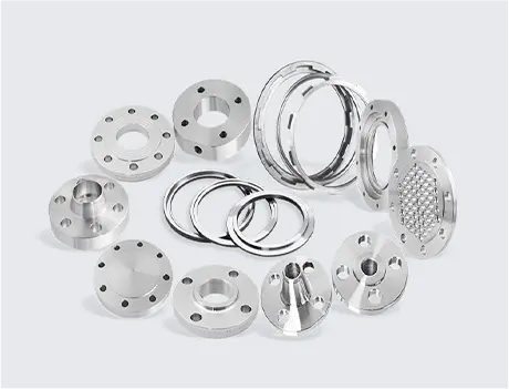 Flange de aço inoxidável Flange de aço inoxidável